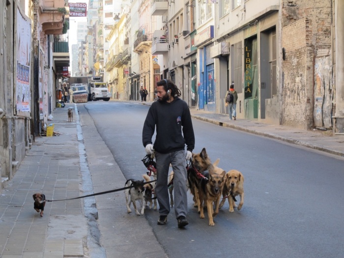 Early morning Buenos Aires - Dogs Rule !!!